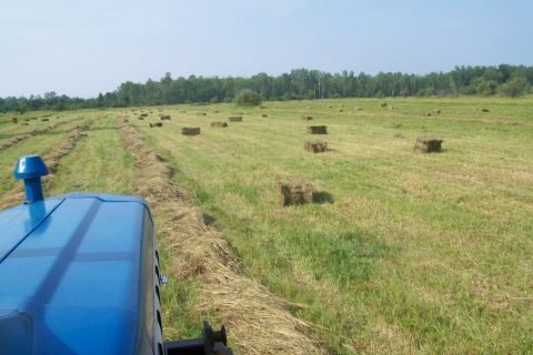 2000 Chevrolet Tahoe - View from a blue tractor cab driving through a field dotted with square hay bales under a clear sky.