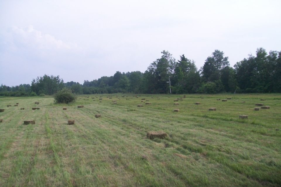 Field with numerous hay bales under a cloudy sky