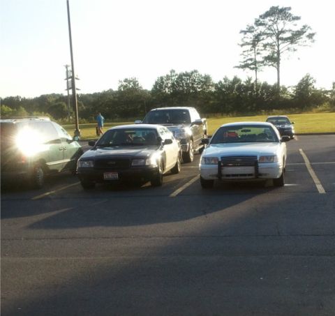 1998 Ford Crown Victoria - Two Ford Crown Victoria police cars are parked side-by-side in a parking lot.