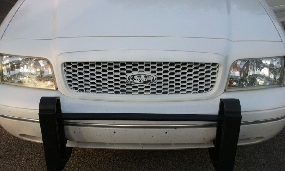 Head-on close-up of white Ford honeycomb mesh grille, Ford oval badge and black push bumper