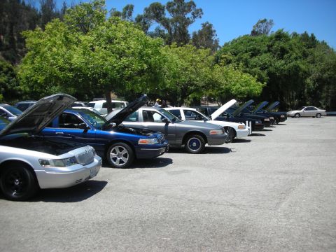2004 Ford Crown Victoria - A row of Ford Crown Victorias are parked in a lot with their hoods open, suggesting a car meet or gathering.