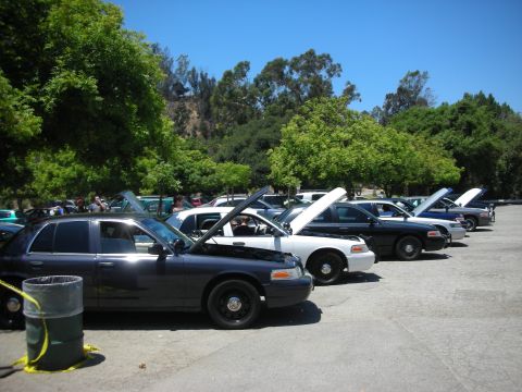 2004 Ford Crown Victoria - Several Ford Crown Victoria police cars are parked in a line with their hoods open under a clear blue sky.