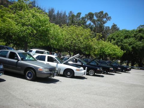 2004 Ford Crown Victoria - A row of Ford Crown Victorias, including a gray model in the foreground, are parked outdoors on a sunny day.