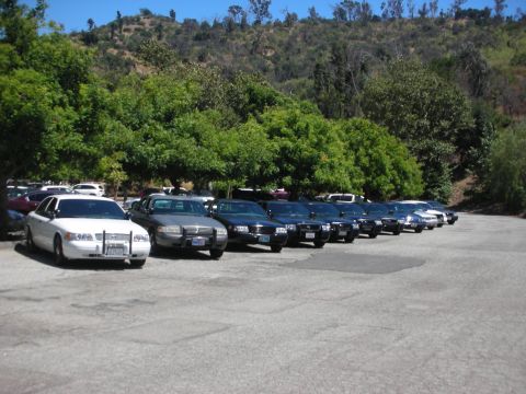 2004 Ford Crown Victoria - A row of police interceptor sedans are parked in a lot with a wooded hillside in the background.