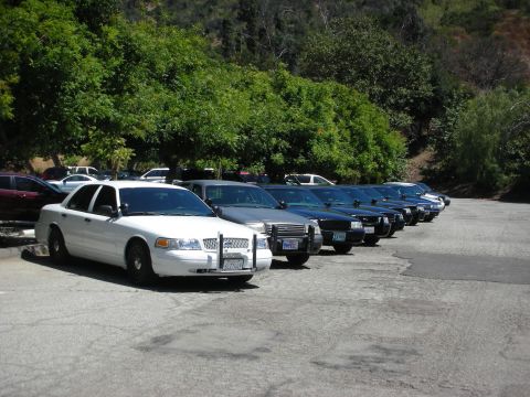 2004 Ford Crown Victoria - A line of police cars, led by a white Ford Crown Victoria, are parked in a lot on a sunny day.