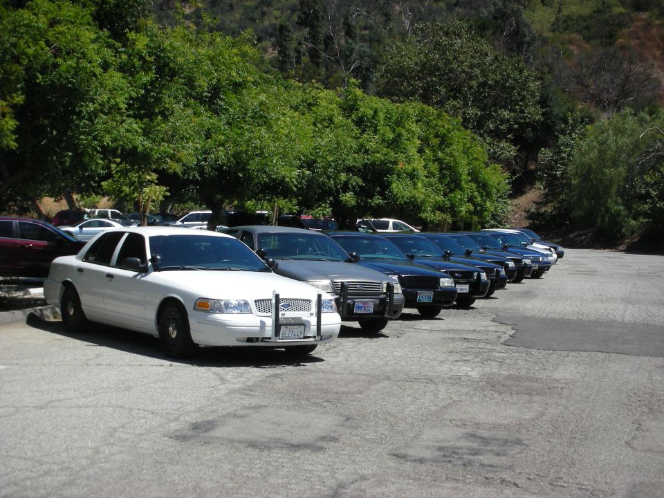 White 2004 Ford Crown Victoria police car in front, parked in a lot with other police cars. License plate visible