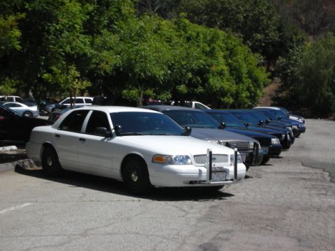 2004 Ford Crown Victoria - A line of police cars, led by a white 2004 Ford Crown Victoria, are parked in a lot.