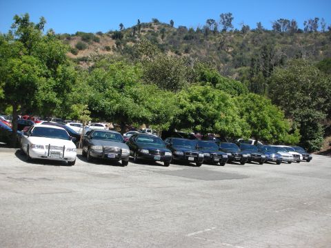 2004 Ford Crown Victoria - A group of Ford Crown Victoria sedans, including police interceptors, are parked in an outdoor lot.