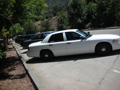 2004 Ford Crown Victoria - A white 2004 Ford Crown Victoria is parked in a line of sedans on a sunny day.