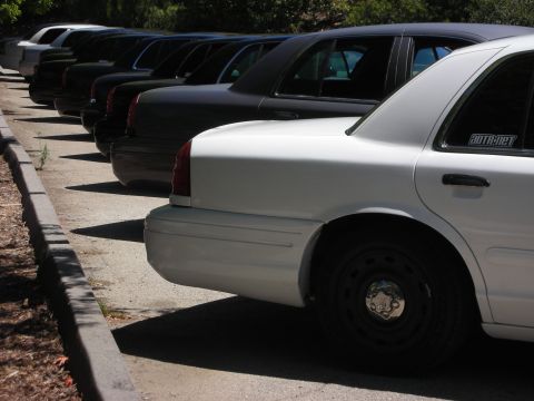 2004 Ford Crown Victoria - A line of police cruisers, including a white 2004 Ford Crown Victoria, are parked in a lot.