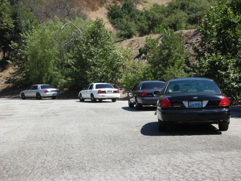 2004 Ford Crown Victoria - Multiple Ford Crown Victoria sedans, likely police vehicles, parked in an outdoor lot.