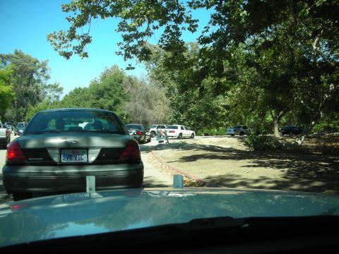 2004 Ford Crown Victoria - A line of vehicles are parked under trees on a sunny day. The foreground shows the rear of a police car.