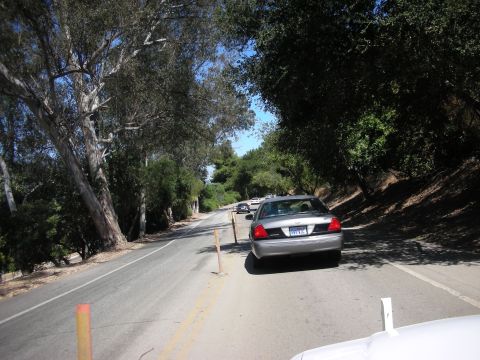 2004 Ford Crown Victoria - A silver 2003 Ford Crown Victoria is seen from behind on a winding road with trees on either side.