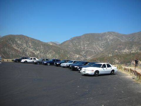 2004 Ford Crown Victoria - Several Ford Crown Victoria police cars are parked in a line with a mountainous landscape behind them under a clear blue sky.