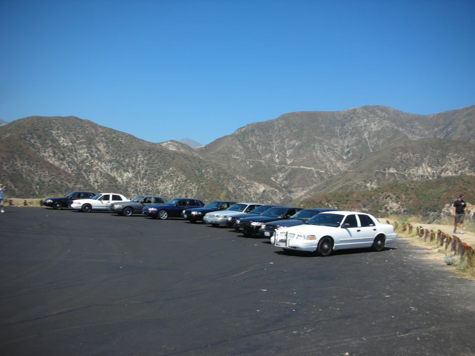 Line of white and black Ford Crown Victoria police cars parked on asphalt with mountains in the background