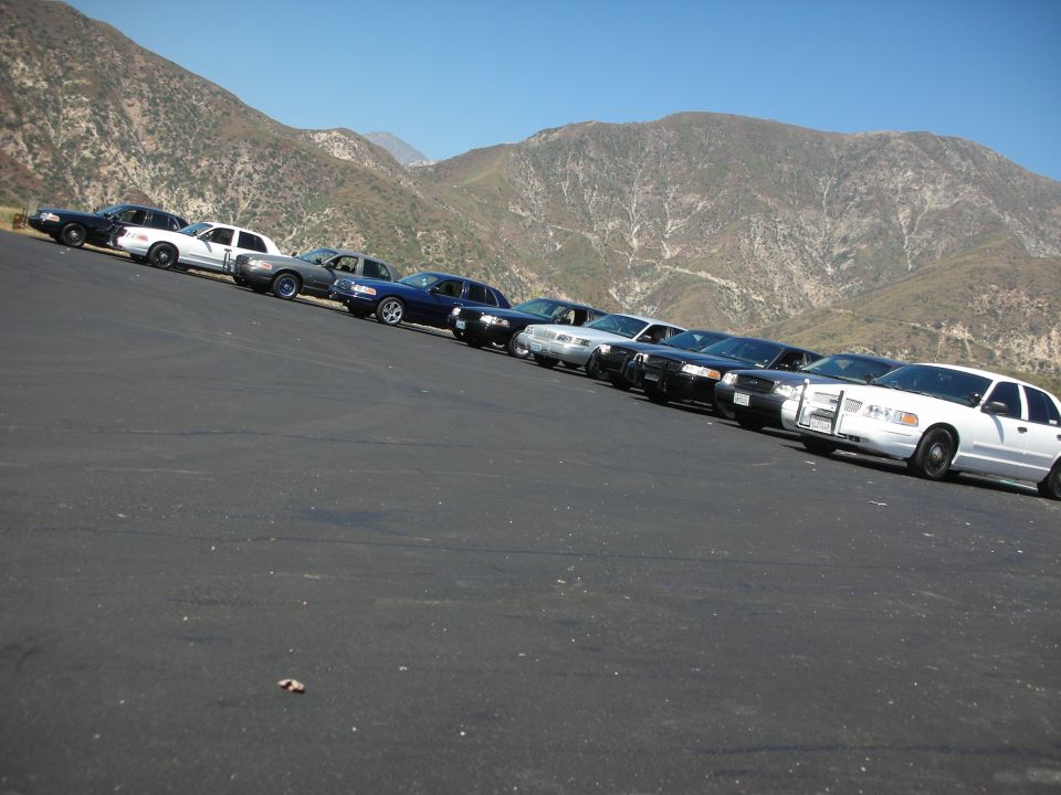 Line of Ford Crown Victoria police cars parked on a hill