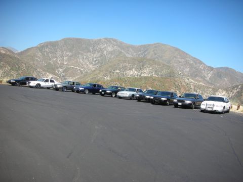 2004 Ford Crown Victoria - A fleet of Ford Crown Victoria police cars are lined up on a road with a mountainous landscape under a clear blue sky.