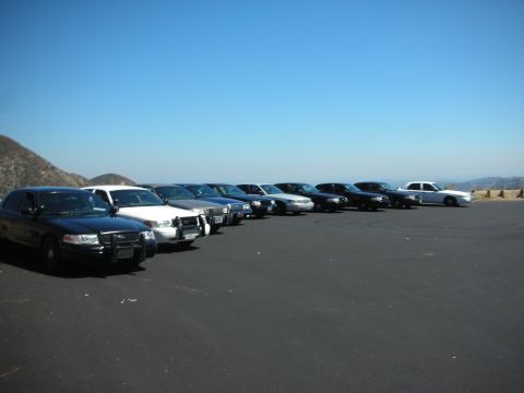2004 Ford Crown Victoria - A line of Ford Crown Victoria police cars are parked in a lot overlooking a scenic vista.