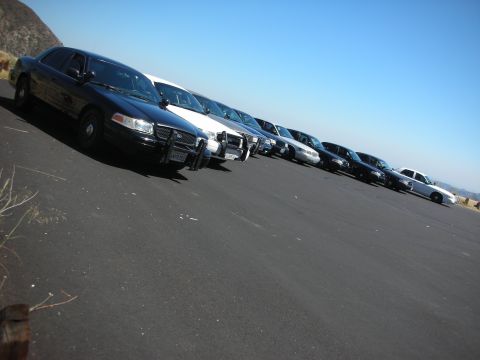 2004 Ford Crown Victoria - A line of police cruisers are parked on a sunny day, facing the same direction.