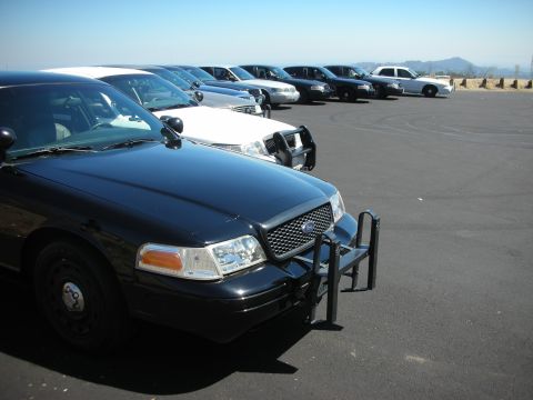2004 Ford Crown Victoria - A line of black and white Ford Crown Victorias are parked on asphalt under a clear blue sky.