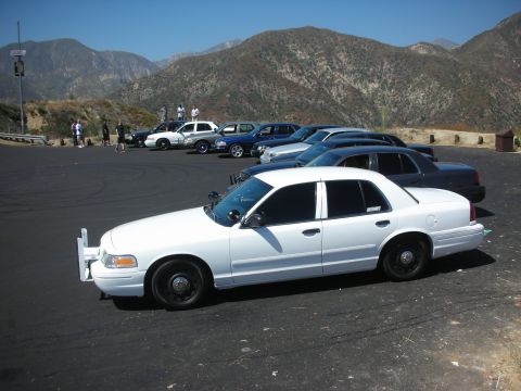 2004 Ford Crown Victoria - A fleet of Ford Crown Victorias, including a white police car with a push bumper, are parked in a lot with mountains in the background.