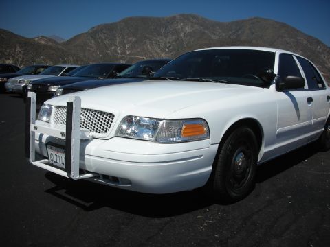 2004 Ford Crown Victoria - A line of police cars are parked in front of a mountain range on a sunny day.