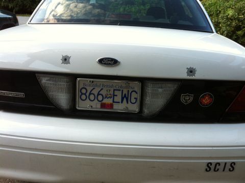 2005 Ford Crown Victoria photo