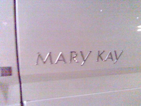 2006 Ford E350 - Close-up of the embossed "MARY KAY" logo on a vehicle's exterior panel.