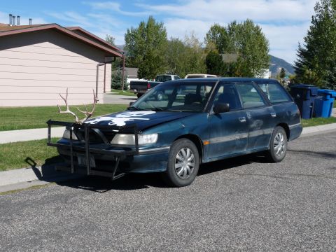 2006 Ford E350 - This modified station wagon is parked on a residential street with a bull bar and deer antlers attached to the front.