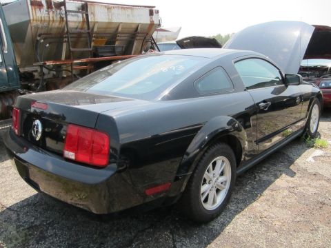 1991 Ford LTD Crown Victoria - Rear view of a black Ford Mustang coupe with hood open, parked outdoors.