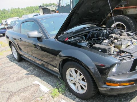 1991 Ford LTD Crown Victoria - A black Ford Mustang is parked outdoors with its hood open, revealing the engine compartment.