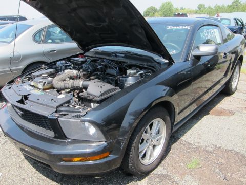 1991 Ford LTD Crown Victoria - Black coupe with hood open, revealing the engine compartment. Text on the windshield reads 'DAVENS'.