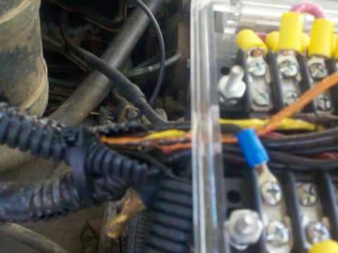 1986 Ford Bronco - Close-up view of engine bay wiring and a fuse box with yellow-capped fuses and exposed wires.