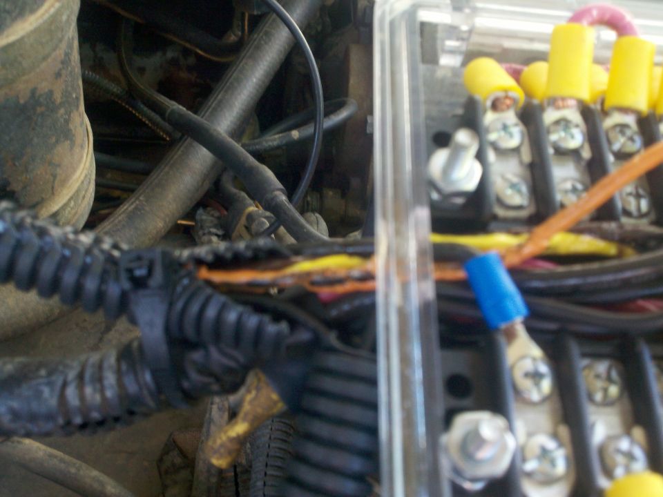 Engine bay wiring and fuse box with yellow-capped fuses