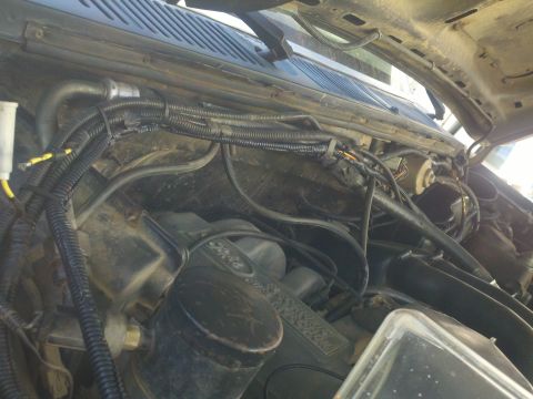 1986 Ford Bronco - Close-up view of the engine bay wiring and components, showing a complex network of cables.