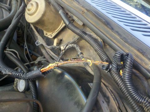 1986 Ford Bronco - The wiring harness shows significant damage, with exposed wires and melted insulation.