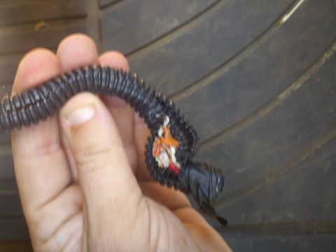 1986 Ford Bronco - Switch end