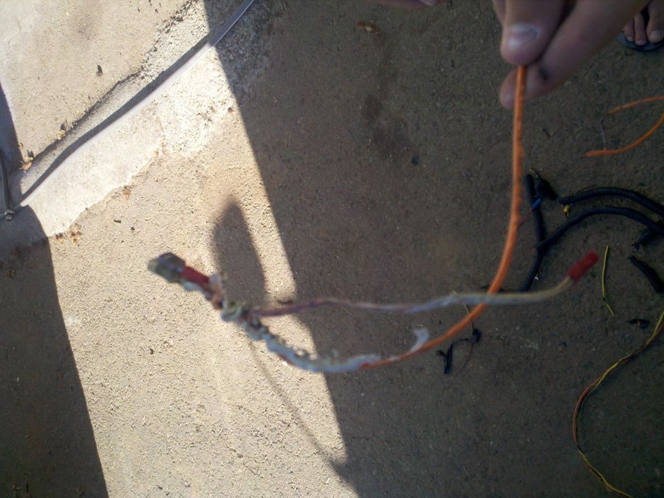 Damaged wiring harness with orange and white wires