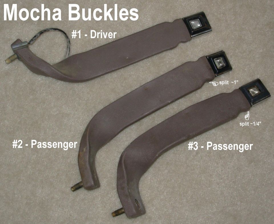 Three mocha-brown seat belt buckle stalks labeled driver and passenger