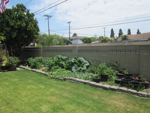 1990 Ford Bronco - A backyard scene shows a well-tended garden with various plants and pots, bordered by a low stone wall and a tall concrete fence.