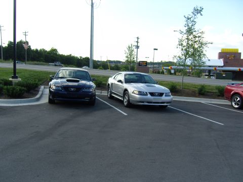 2007 Ford Mustang - Two Ford Mustangs, a dark blue and a silver model, are parked side-by-side in a parking lot.