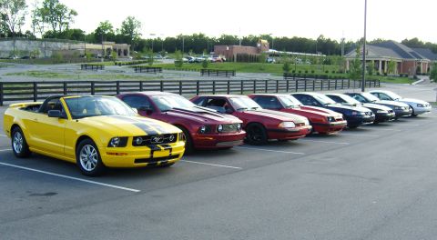 2007 Ford Mustang - A line of Ford Mustangs are parked in a lot, with a yellow convertible in the foreground.
