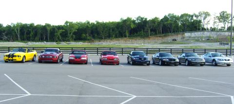 2007 Ford Mustang - A lineup of seven Ford Mustangs, including a yellow convertible and several other models, are parked in a lot on a clear day.