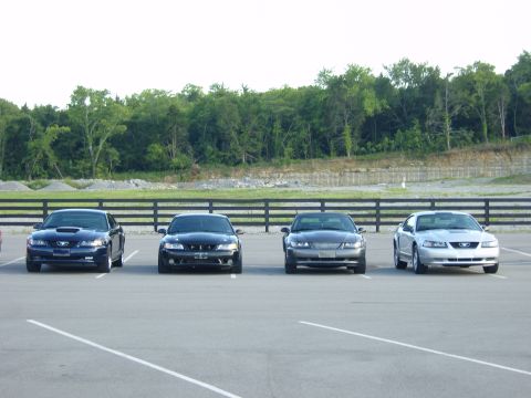2007 Ford Mustang - A lineup of four 2007 Ford Mustangs are parked facing forward in a paved lot with a wooded area in the background.