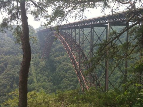 1985 Ford Crown Victoria LTD - The New River Gorge Bridge spans a vast, tree-covered canyon, viewed from a wooded overlook.
