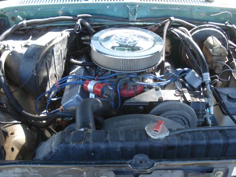 1979 Ford Bronco - Close-up of a V8 engine bay, showing the air cleaner, distributor, and radiator.