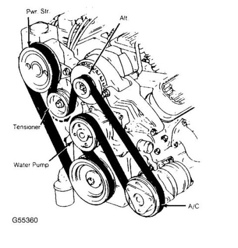 1996 Ford Bronco - Serpentine belt routing diagram showing the belt path around the accessory drive pulleys.