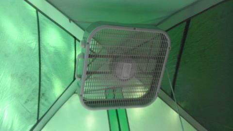 1989 Ford Bronco - A box fan is mounted inside a tent, providing air circulation.