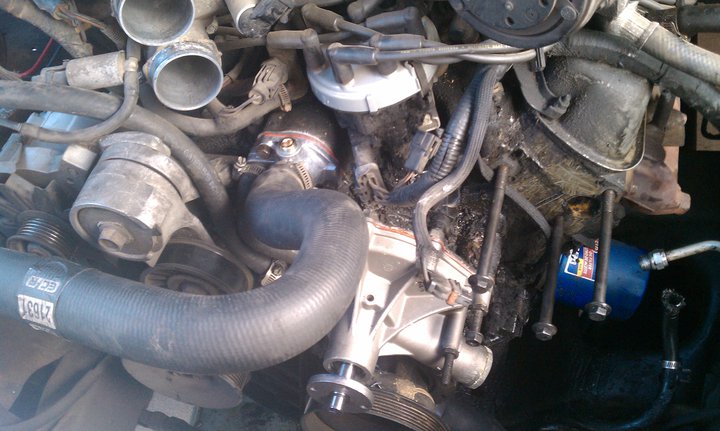 Engine bay showing water pump, hoses, and oil filter. Part number visible on hose