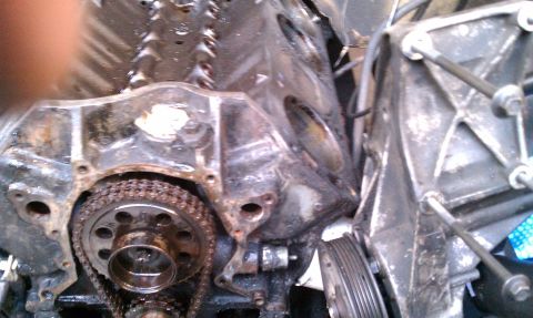 1990 Ford Bronco - Close-up view of a greasy engine block showing the timing chain and gears.